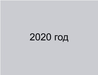 2020 год