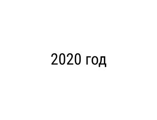 2020 год