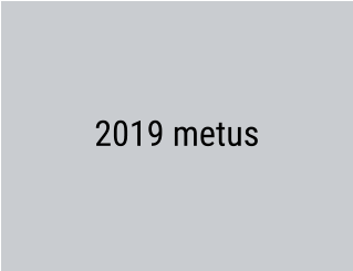 2019 metus