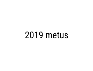 2019 metus